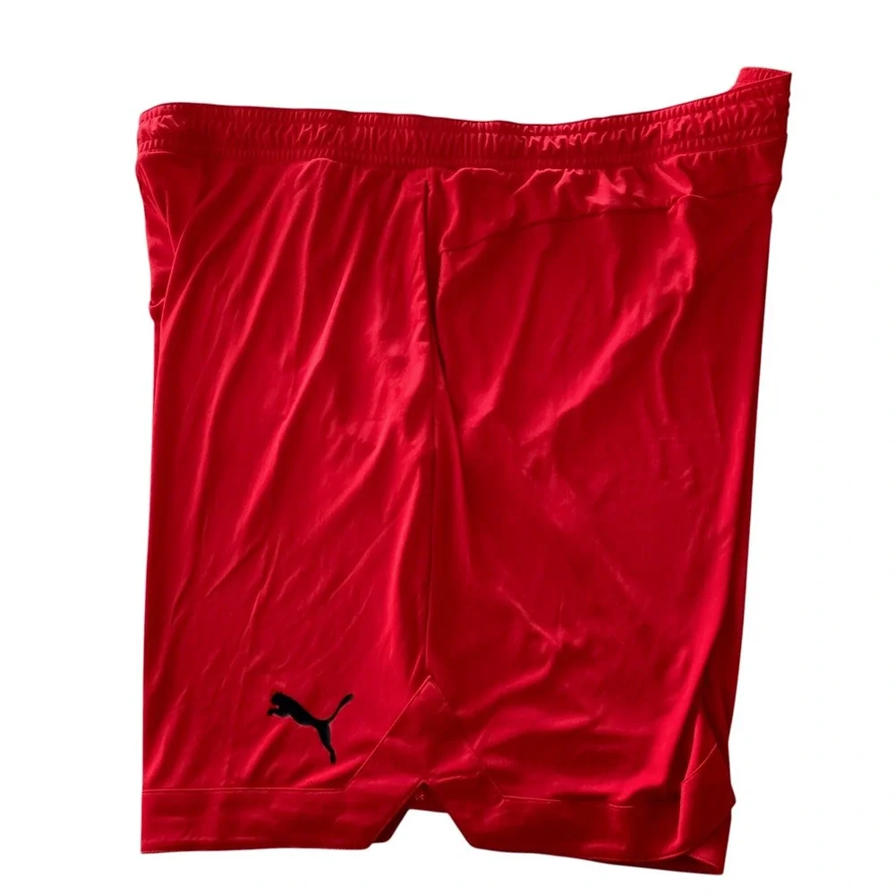 Puma Mens RTG Shiny Fabric Shorts Red DryCell Athletic10 